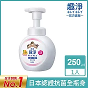 LION日本獅王 趣淨洗手慕斯250ml-清爽柑橘