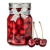 美國經典梅森罐 Ball (Mason Jars) Elite Sharing 分享系列 16oz 標準口徑 Regular Mouth 單入