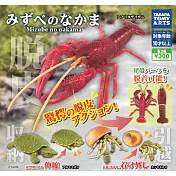 【日本正版授權】全套3款 水邊生物 公仔 扭蛋/轉蛋 動物模型 甲殼類生物 873898