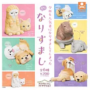 【日本正版授權】小全套4款 動物檔案系列 人氣裝扮篇 P2 扭蛋/轉蛋 偽裝動物 710927