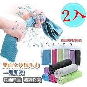 JDS@本舖-雙色冷感極凍降溫冰涼巾(兩色一組,不挑色)