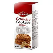 荷蘭Hellema-花生酥餅 175g