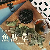 【日常野草】靜心明朗 魚腥草青草茶