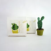 羊毛氈手創館【多肉植物 • 手作包】白烏帽子