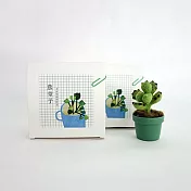 羊毛氈手創館【多肉植物 • 手作包】熊童子