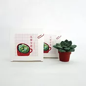 羊毛氈手創館【多肉植物 • 手作包】芙蓉雪蓮