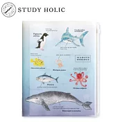GreenFlash - STUDY HOLIC A4文件包(海洋生物學)