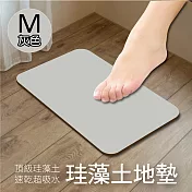 【生活良品】頂級珪藻土速乾超吸水地墊(M尺寸)灰色 灰色