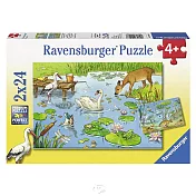 【德國Ravensburger拼圖】池塘生態-2x24片