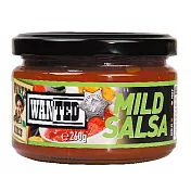 丹麥【OK莎莎醬】原味(260g)