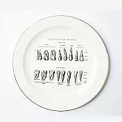 【賽先生科學工廠】東海醫院-牙齒排列瓷盤