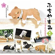 【日本正版授權】全套5款 邊緣午後休息 柴犬篇 扭蛋/轉蛋 擺飾 822461