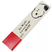 SHO-BI 日製長條型隨身雙面鏡 化妝鏡 隨身鏡 放大鏡 SNOOPY 大頭米