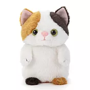 T-ARTS 迴聲寵物 三花貓