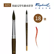 法國拉斐爾 Raphael 835 松鼠毛 學生級 水彩筆 18號