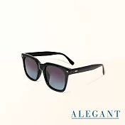 【ALEGANT】個性玩味海水漸層輕量TR90寶麗來偏光墨鏡/UV400太陽眼鏡