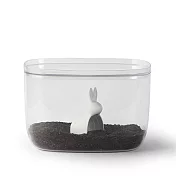 QUALY 邦妮兔-儲米箱(7L)