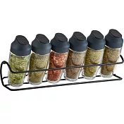 《TRUDEAU》掀蓋調味罐6入+收納架