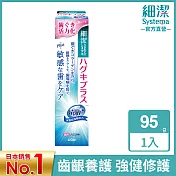 LION日本獅王 細潔適齦佳牙膏 抗 敏plus 95g