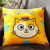 黃阿瑪抱抱枕御賜黃