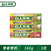 【白人】雙氟+雙鈣牙膏160g+牙刷組x3入組