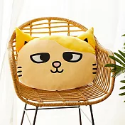 黃阿瑪大頭抱枕浣腸