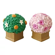 【DECOLE】Concombre ‧櫻橘組