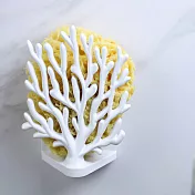 QUALY 珊瑚海綿架(白)