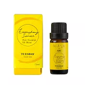 TOAST / EVERYDAY SENSE精油- Tuesday