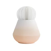 TOAST / BOTANICA 擴香器- 仙人掌