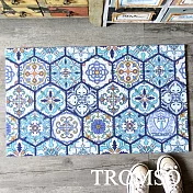 TROMSO北歐圈絲門口刮泥地墊 六角藍調花磚