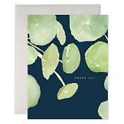 【 E.Frances 】PANCAKE PLANT THANK YOU 感謝卡 #美國進口 #重磅紙卡 #TY409