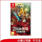 Nintendo Switch遊戲軟體《ZELDA無雙 災厄啟示錄》