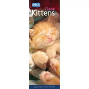 『CAROUSEL』2021 英國進口月曆（ 我愛貓咪. Kittens, I Love）