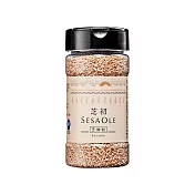 【芝初】淺焙白芝麻粒105g