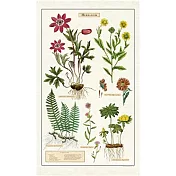 美國 Cavallini 純棉布面茶巾桌巾  植物圖鑑