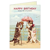 美國 Cavallini & Co. Greeting Cards 卡片/生日卡 蕾絲傘貓貓