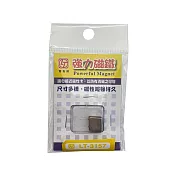 (2袋1包)雷鳥牌 強力磁鐵  10x10x厚2mm