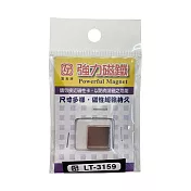 (2袋1包)雷鳥牌 強力磁鐵  15x15x厚2mm