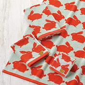 【日本丸真】Anorak英倫設計款洗臉巾 (兔子)