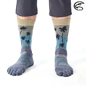 ADISI 快乾中筒五趾襪 AS21073 / 城市綠洲 (襪子 毛襪 趾襪 中筒襪 ) L-XL 藍