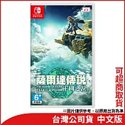 Nintendo Switch遊戲軟體《薩爾達傳說 王國之淚》中文版[台灣公司貨]