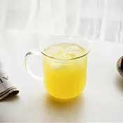 好玻GOODGLAS | 單層把手水杯- 清透