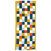 【日本丸真】SOU SOU經典SEK抗菌防臭毛巾 (彩色格紋) (彩色格紋)