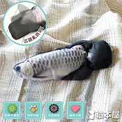 貓本屋 USB充電式 模擬電動魚 寵物絨毛玩具 銀龍魚