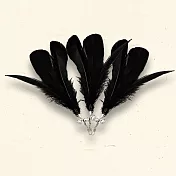 怪獸部落- 逗貓棒補充包(惡魔三入)