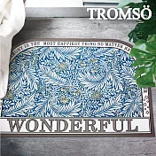 TROMSO科技絨舒柔吸水地墊- 芙賽爾花園BS-824