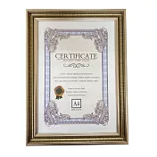 青青 簡單生活系列 PA-461 A4證書獎狀多用途相框  1入