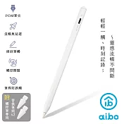 aibo AP10 防誤觸傾斜角磁吸iPad觸控筆 (附替換筆頭x2)