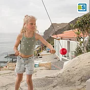 【荷蘭BS】門掛式健力球